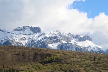 Fototapeta na wymiar Snowy Ridge, Jasper National Park, Alberta