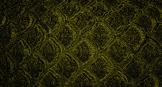 Black gold abstract texture for backgrounds or other design illustrations and artwork.