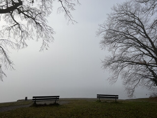 Winter Dezember Bodensee Konstanz