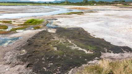 There are hot springs in the caldera of an extinct volcano. Sulphurous deposits on the soil are visible. There are bear paw prints on the moss. Kamchatka. Uzon