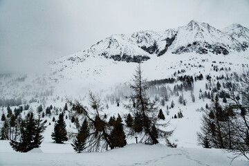 Obraz premium Top of snow capped mountains during the winter time