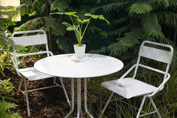 White chair in the green forest for relax.