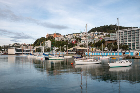 Wellington Waterfront, marina and boatsheds with the hills and Saint Gerard's Church behind