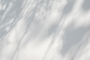 gray concrete cement wall texture background with sun shadow spoon over abstract