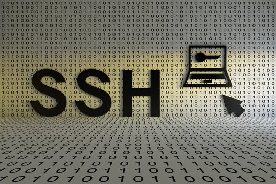 SSH concept text sunlight 3D illustration