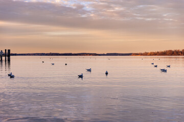 Naklejka premium Chiemsee - Der Chiemsee bei Bernau im Abendlicht