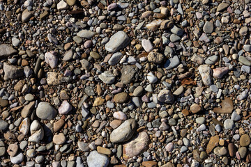 Autumn, the shallow stone-sandy bottom of a mountain river in the rays of the morning sun, close-up.