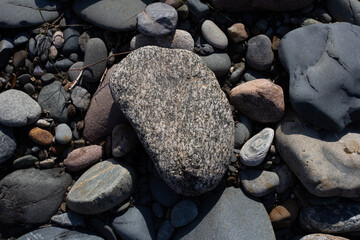 Autumn, the shallow stone-sandy bottom of a mountain river in the rays of the morning sun, close-up.