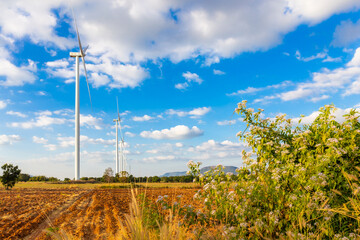 Fototapeta na wymiar Landscape of Wind turbine arranged in a row on a mountain with blue sky background and flower is foreground in Sikhio District, Nakhon Ratchasima, Thailand