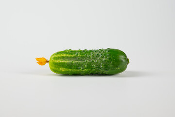 Ripe cucumber with flower on a white background