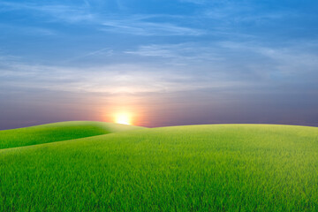 green field with sunset sky