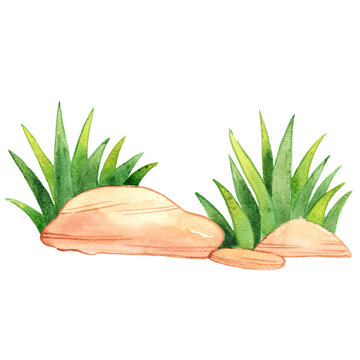 watercolor rocks and green grass clip art preview