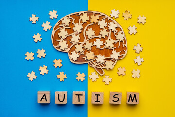 Mock up of a human brain with scattered puzzle pieces on a yellow and blue background. Six cubes with the inscription autism.