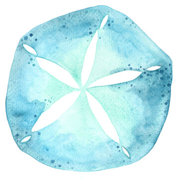 Blue sand dollars watercolor illustration for decoration on marine life and coastal living.