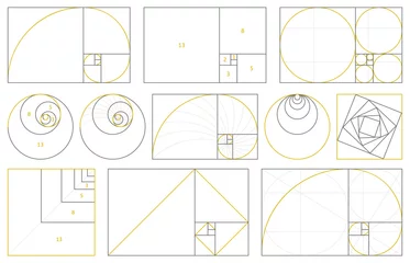Foto auf Acrylglas Golden section, fibonacci numbers, ideal proportions ratio. Geometry harmony gold fibonacci spiral ratio, vector illustration set. Spiral proportion elements © WinWin