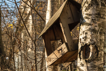 an old crooked birdhouse on a birch tree. background picture. space for printing text.