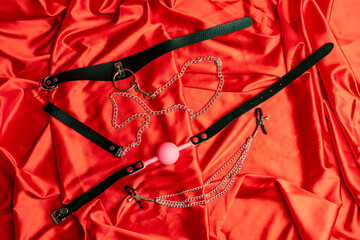 Adult sex games. BDSM items. Leather straps collar with metal chain leash, pink gag ball, nipple...