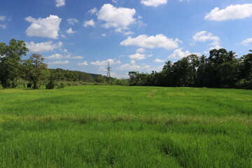 blue sky background with green nature