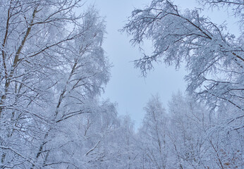 Fototapeta na wymiar dim cloudy winter day landscape