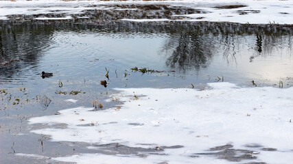 Landscape with a river, trees, reflections in the water in winter.