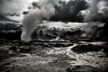 Impressive geysers in Rotorua - N.Zealand. Geothermal power shaping an extraordinary scenery.