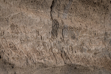 Native American Petroglyph 