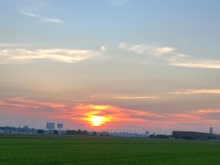 sunset scenery, wheat fields, Meadow field or Green Terraced Rice Field in Asia Thailand . Freedom...