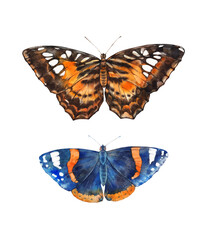 Fototapeta na wymiar Butterflies. Watercolor illustration on white background.