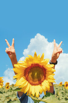 2022 sign from women's fingers and sunflowers.Blue sky background.