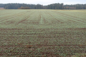 Schöne Landschaft in Donau-Ries/Bayern/Deutschland