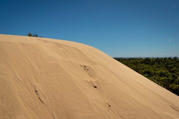 Sand Dunes at Big Drift, Wilsons Promontory, Victoria, Australia