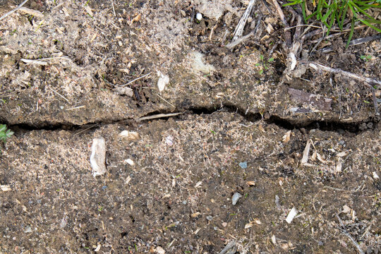 Cracked soil with big crack in the middle and pieces of grass and trash nearby