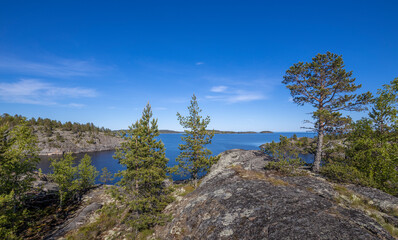 Landscape with a forest on stones over the lake. Sunny day at the lake. Reflection of the sky in the water. Pines on stones. The nature of the north.