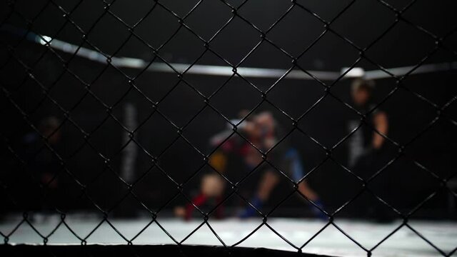 Metal octagon mesh. Mma fighters fight each other. The referee watches the mixed martial artist.