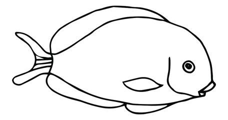 Hand drawn cartoon fish. Vector illustration isolated on white background.