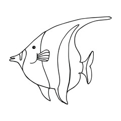 Hand drawn cartoon fish. Vector illustration isolated on white background.
