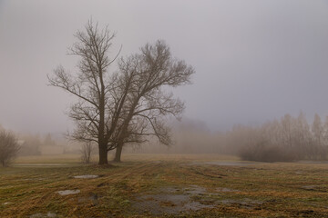 Rural landscape on a winter day. Poland.