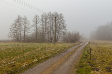 Fototapeta na wymiar Rural landscape on a winter day. Poland.
