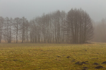 Rural landscape on a winter day. Poland.