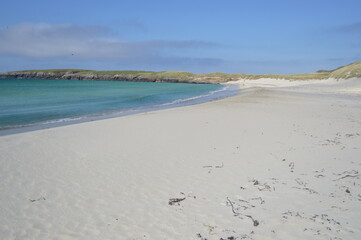 shetland