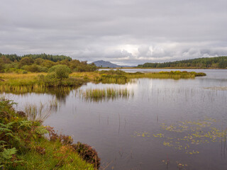 Very picturesque loch Fina on the Isle of Mull, Scotland, Uk