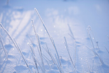 A close-up of icy frost-covered blades of grass against the backdrop of sparkling and fading snow on a cold and frosty day.