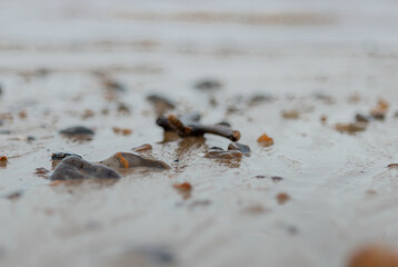 By the sea