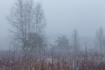 Rural landscape on a winter day. Poland.