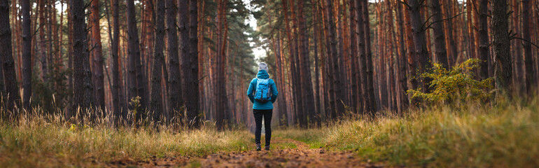 Hiking in forest. Panoramic view at woman walking on footpath in pine woodland. Adventure in nature. Solo hiker