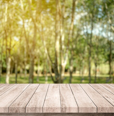 Old wood plank with abstract rubber plantation blurred background for product display