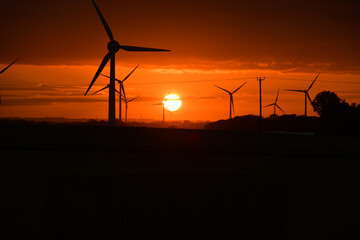 Fototapeta na wymiar Deep orange sunset falls behind a field of giant wind turbines
