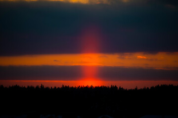 Fototapeta na wymiar Vertical light pillar over a forest. Bright orange phenomenon, ice crystals in cold air, dark cloudscape. Selective focus on the details, blurred background.