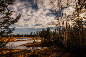 sunset over swamp