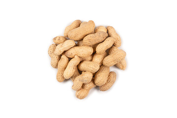 Group of Arachis isolated on a white.